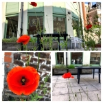 La cour intérieure est ouverte