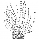 Voyage au pays des lettres : conférences, causeries, ateliers, promenades, jeux… centrés sur la « part visuelle » de l’écriture